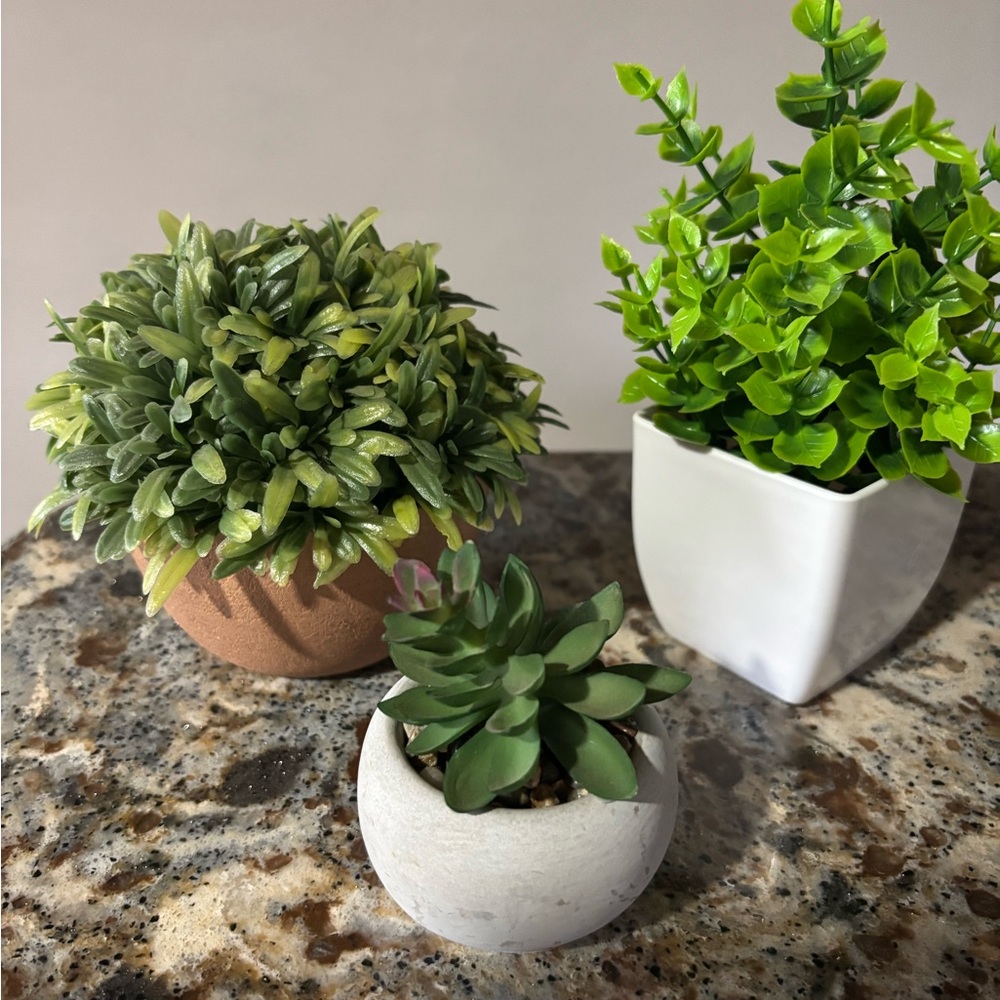 Artificial Greenery Set in Ceramic Pots